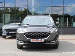 Używany 2022 Ford Kuga SUV | 104 900 zł (Drogi)