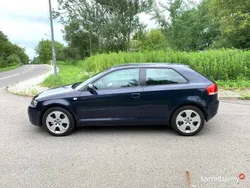Używany 2004 Audi A3 | 12 900 zł (Dość drogi)