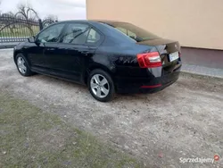 Czarny Używany 2019 Skoda Octavia Hatchback | 52 800 zł (Dość drogi)
