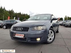 Szary (metalik, perła) Używany 2004 Audi A3 | 17 900 zł (Drogi)