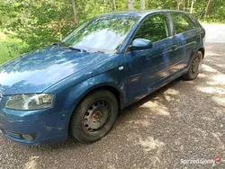 Używany 2005 Audi A3 | 8800 zł (Uczciwa cena)