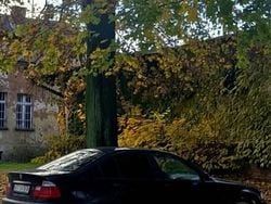 Używany 1999 BMW 316 Sedan/Limuzyna | 8000 zł