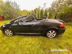 Używany 2007 Peugeot 307 Kabriolet | 13 000 zł