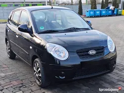 Używany 2009 Kia Picanto 2 Hatchback | 7990 zł (Dobra cena)
