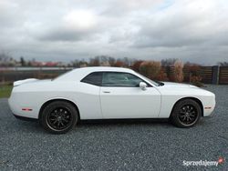 Używany 2019 Dodge Challenger SXT Coupe | 92 500 zł (Drogi)