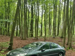 Używany 2007 Peugeot 407 | 4500 zł (Dobra cena)