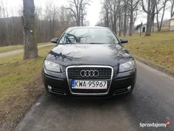 Czarny Używany 2005 Audi A3 Attraction Hatchback | 16 500 zł