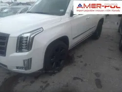 Biały Używany 2017 Cadillac Escalade SUV | 115 000 zł