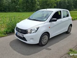 Biały Używany 2017 Suzuki Celerio Hatchback | 18 300 zł