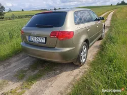 Brązowy Używany 2005 Audi A3 Hatchback | 20 000 zł (Dość drogi)