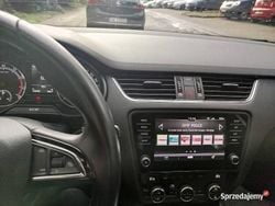 Używany 2019 Skoda Octavia | 45 500 zł (Uczciwa cena)