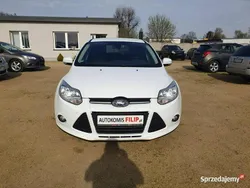 Biały (metalik) Używany 2013 Ford Focus Hatchback | 20 900 zł (Dobra cena)