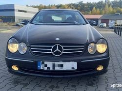 Używany 2004 Mercedes CLK270 | 19 999 zł
