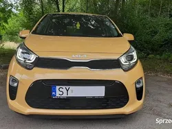 Żółty Używany 2023 Kia Picanto 2 Hatchback | 62 500 zł (Dość drogi)