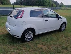 Biały Używany 2014 Fiat Punto | 17 000 zł