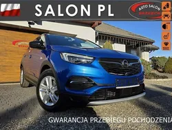 Niebieski Używany 2019 Opel Grandland X SUV | 74 900 zł (Uczciwa cena)