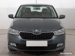 Szary Używany 2019 Skoda Fabia Hatchback | 29 999 zł (Dobra cena)