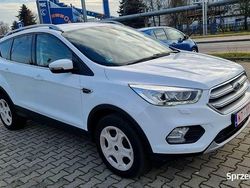 Biały Używany 2019 Ford Kuga SUV | 59 900 zł (Dobra cena)