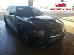 Czarny Używany 2017 Dodge Charger Sedan/Limuzyna | 180 000 zł