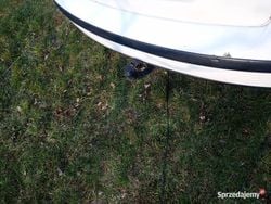 Biały Używany 2003 VW Passat Sedan/Limuzyna | 4500 zł (Uczciwa cena)