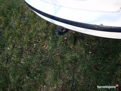 Biały Używany 2003 VW Passat Sedan/Limuzyna | 4500 zł (Dobra cena)
