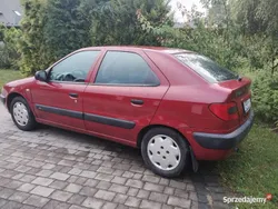 Bordowy Używany 1999 Citroën Xsara Hatchback | 7900 zł