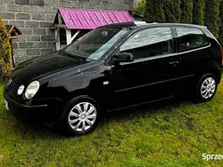 Używany 2004 VW Polo | 1500 zł (Dobra cena)