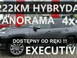 Szary Używany 2023 Toyota RAV4 Hybrid Skyview Edition SUV | 209 500 zł (Uczciwa cena)