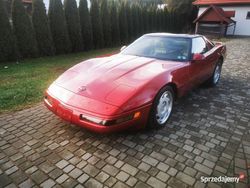 Używany 1992 Corvette C4 | 64 000 zł
