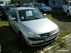 Srebrny Używany 2001 Opel Corsa Hatchback | 3900 zł (Uczciwa cena)