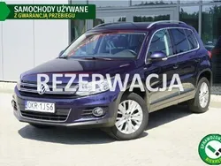 Niebieski Używany 2013 VW Tiguan SUV | 54 999 zł (Uczciwa cena)
