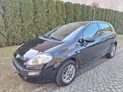 Fiat Punto Evo