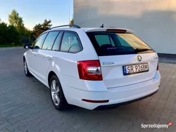 Biały Używany 2019 Skoda Octavia Kombi | 43 900 zł (Dobra cena)