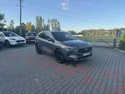 Szary Używany 2023 Ford Escape ST-Line SUV | 116 000 zł