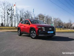 Bordowy Używany 2024 Hyundai Tucson SUV | 114 999 zł (Uczciwa cena)
