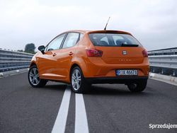Pomarańczowy Używany 2009 Seat Ibiza Hatchback | 19 000 zł (Dość drogi)