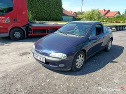 Niebieski Używany 2000 Opel Tigra Hatchback | 1950 zł (Uczciwa cena)