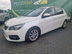 Biały Używany 2020 Peugeot 308 Hatchback | 45 900 zł (Uczciwa cena)