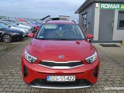 Bordowy Używany 2019 Kia Stonic SUV | 42 900 zł (Super Cena)