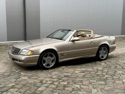 Złoty Używany 2001 Mercedes SL500 AMG Kabriolet | 61 900 zł