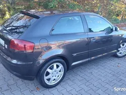 Używany 2003 Audi A3 S-Line | 9600 zł (Uczciwa cena)