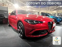 Czerwony Nowe 2025 Alfa Romeo Giulia Quadrifoglio Sedan/Limuzyna | 434 200 zł
