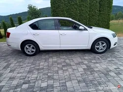 Biały Używany 2019 Skoda Octavia Sedan/Limuzyna | 40 700 zł (Dobra cena)