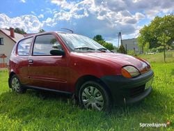 Używany 1999 Fiat Seicento Hatchback | 2350 zł (Dobra cena)