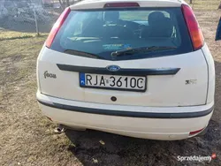 Biały Używany 2004 Ford Focus Hatchback | 4000 zł