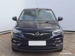 Fioletowy Używany 2019 Opel Grandland X SUV | 66 999 zł (Uczciwa cena)