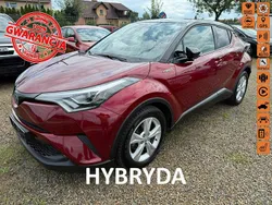 Bordowy Używany 2019 Toyota C-HR SUV | 77 250 zł