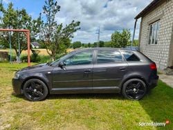 Szary Używany 2004 Audi A3 Hatchback | 14 500 zł (Dość drogi)