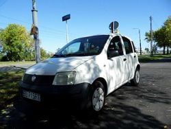Biały Używany 2008 Fiat Panda Hatchback | 7300 zł (Uczciwa cena)