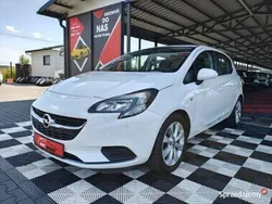 Biały Używany 2016 Opel Corsa Hatchback | 32 499 zł